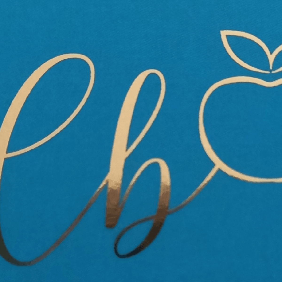 Foto 1 de Clauciane Soares O Blanco